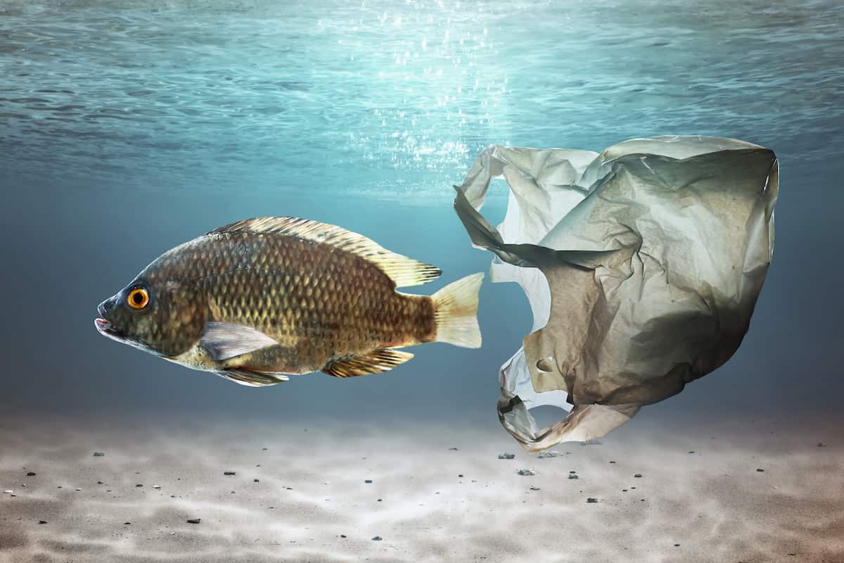 contaminación plásticos Tailandia