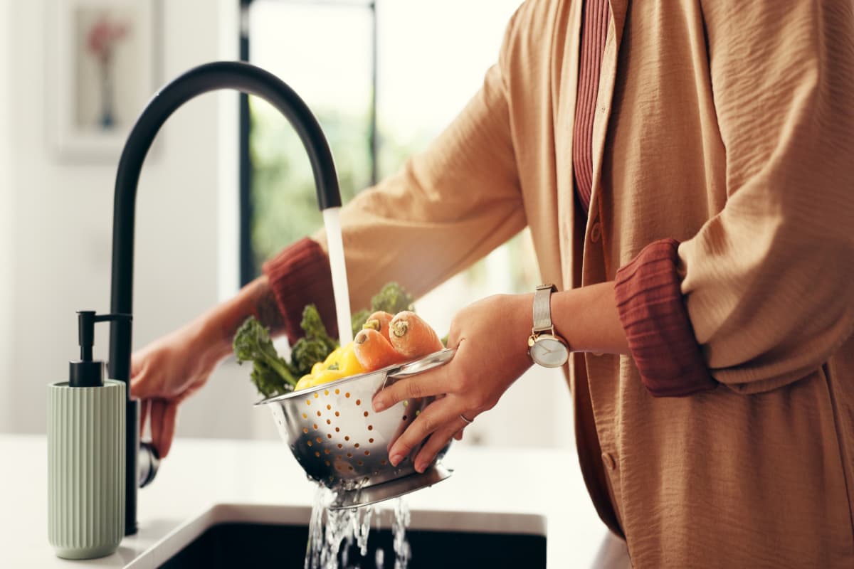 Desinfección de Verduras.