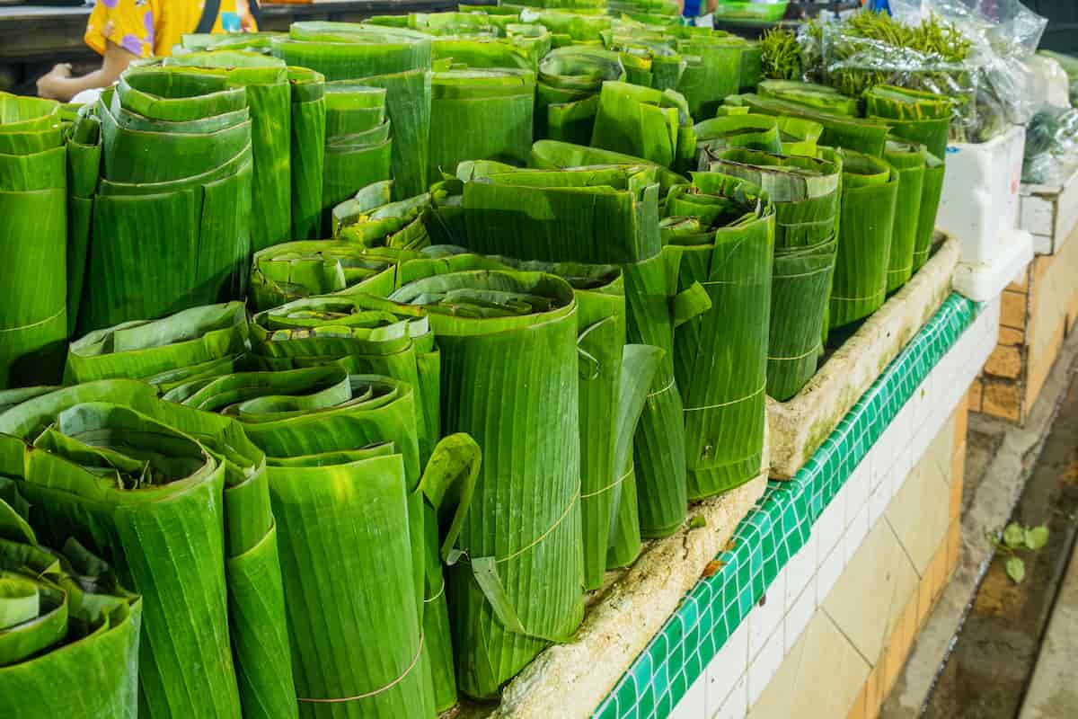 Tailandia bolsas de plástico hojas de plátano