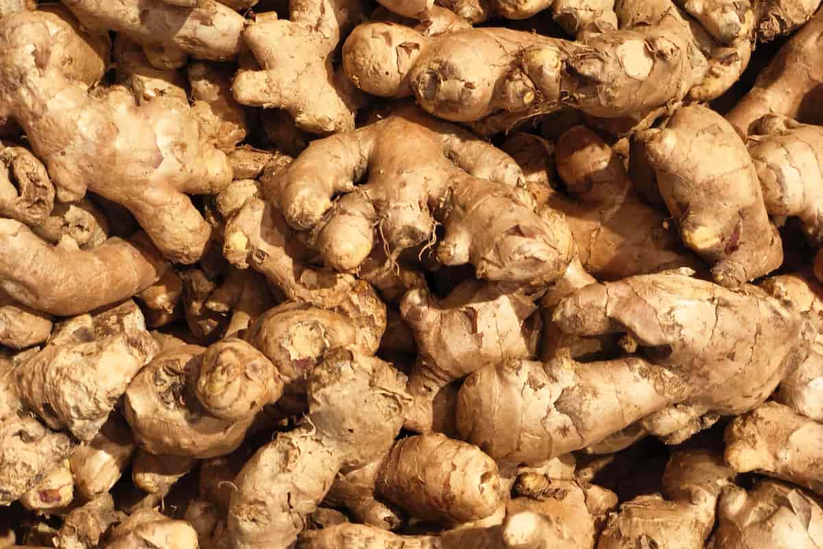 productos básicos cocina china