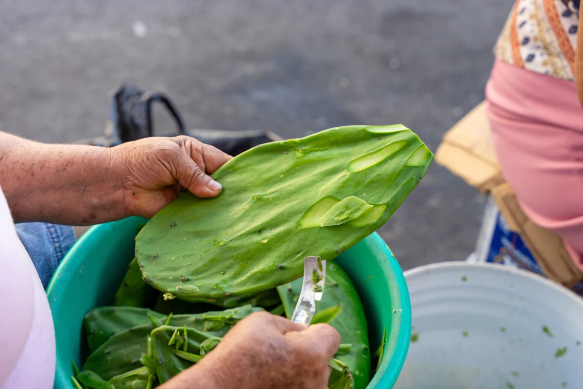 Manos de una mujer mayor pelando nopales en un puesto de un mercado callejero.