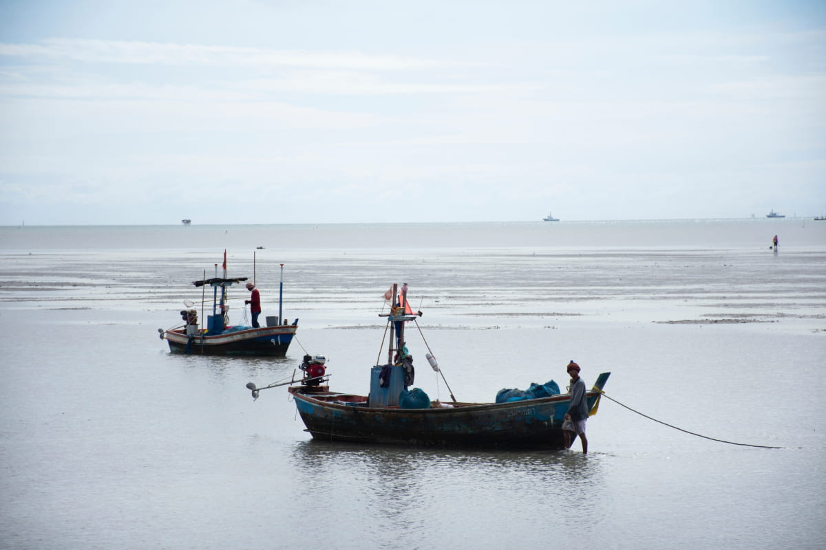 Puerto de embarcaciones de pesca.