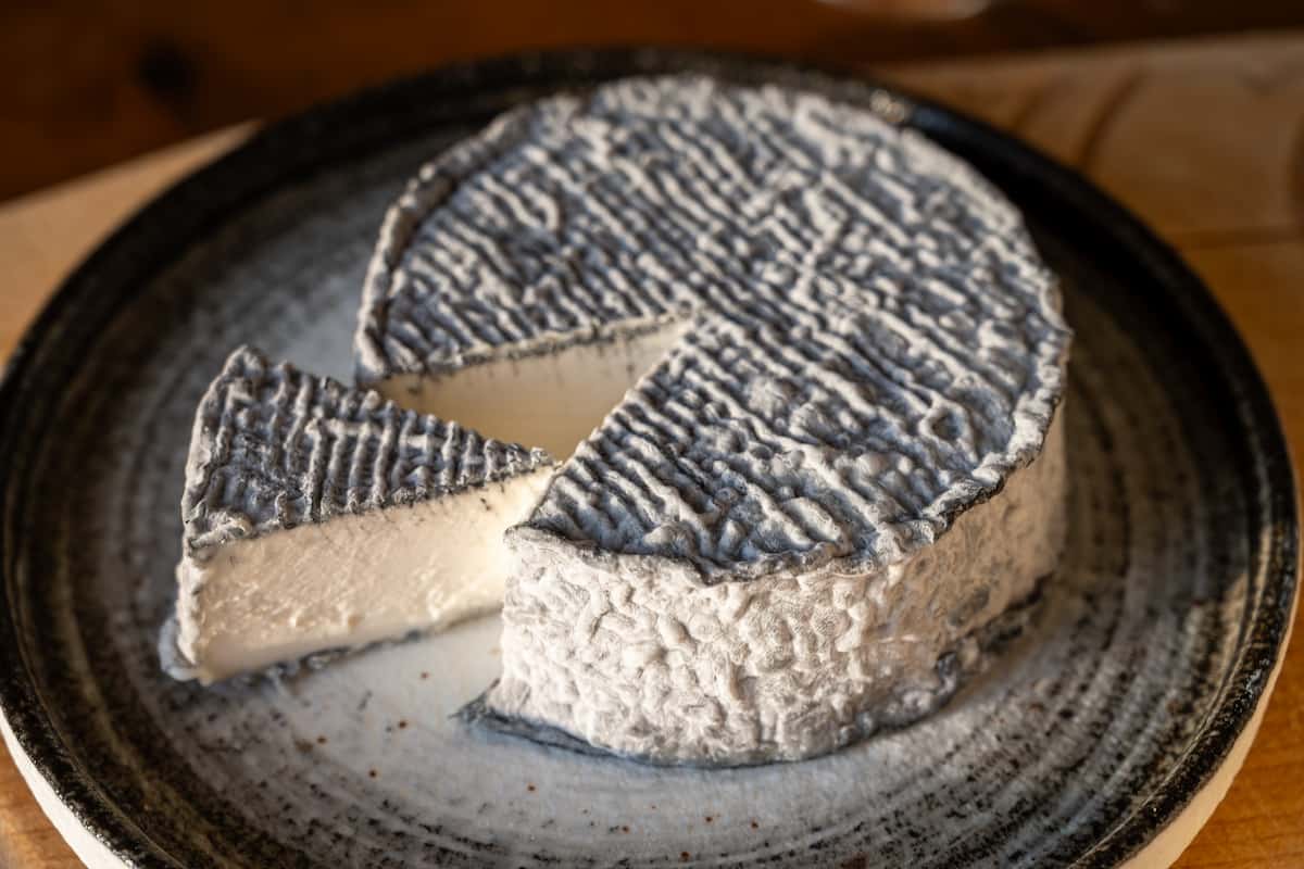 quesos artesanales en CDMX