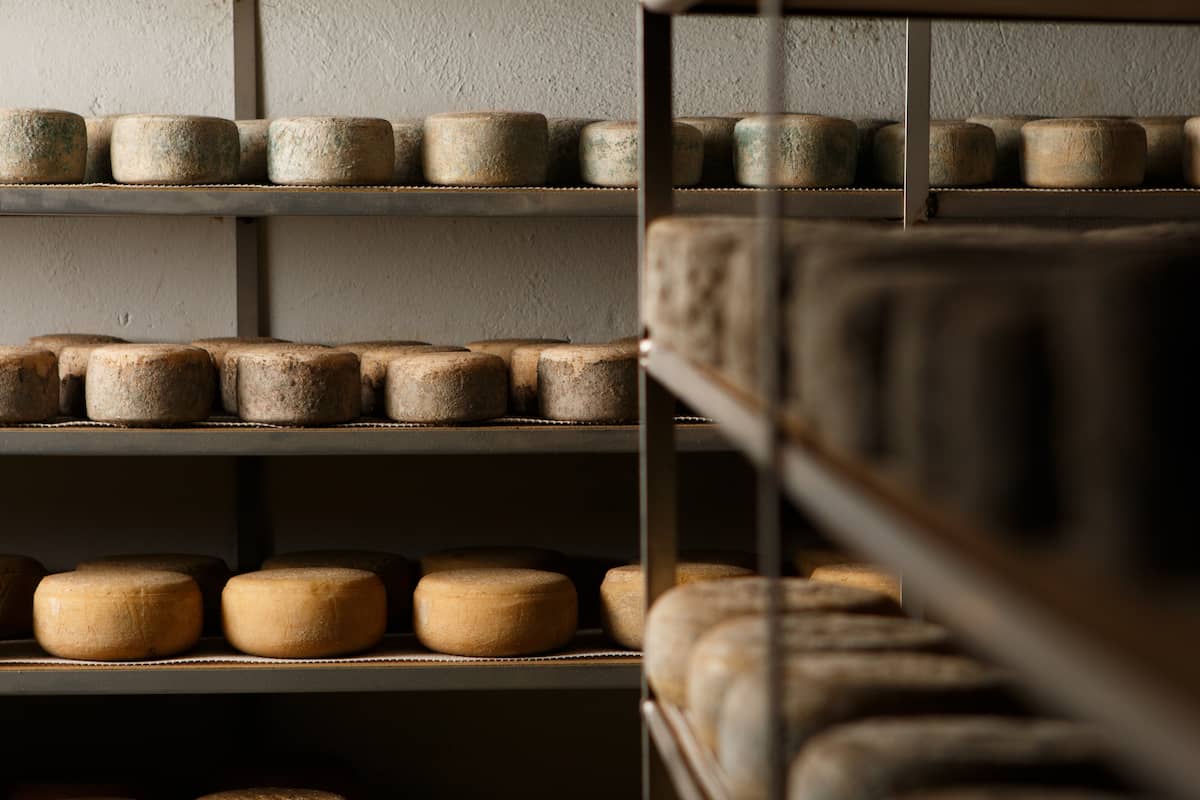 queserías artesanales en CDMX