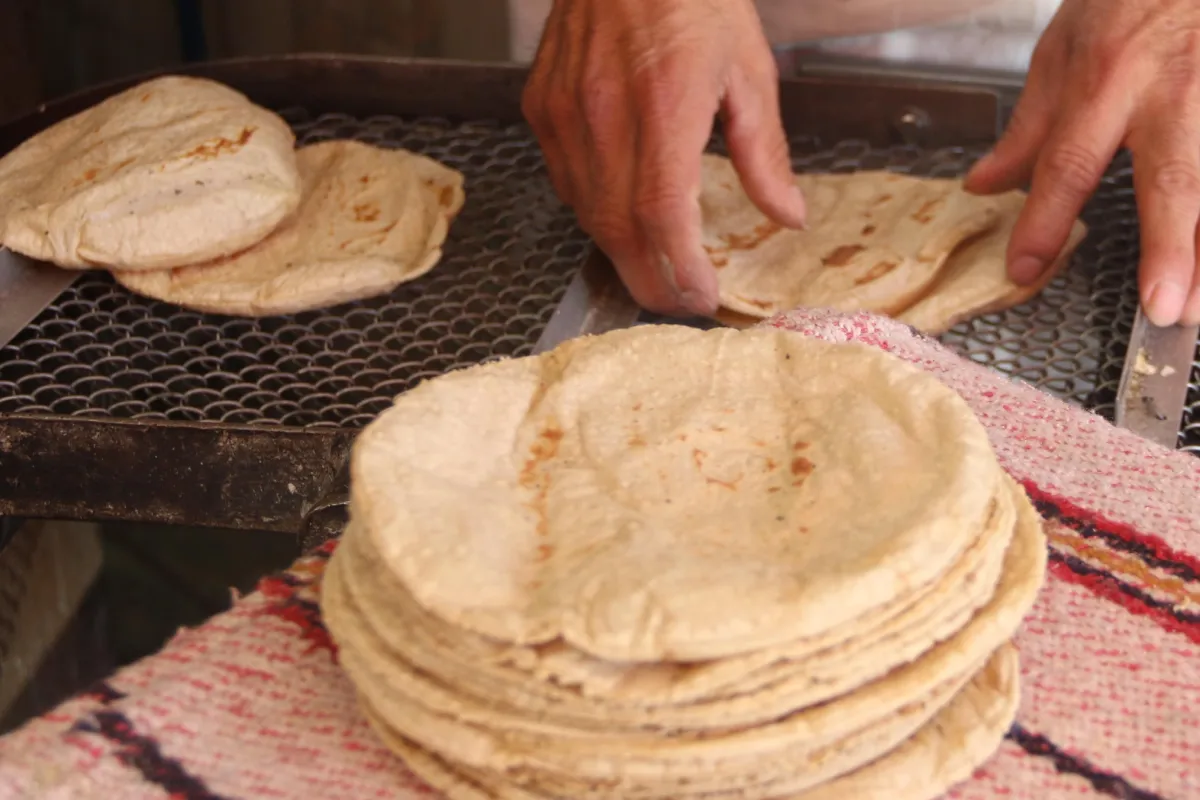 Manos sostienen las tortillas que van saliendo de la máquina.