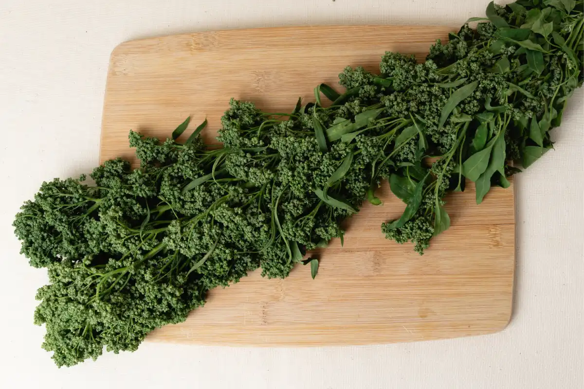 Sobre una tabla de madera están una hojas frescas de huanzontle