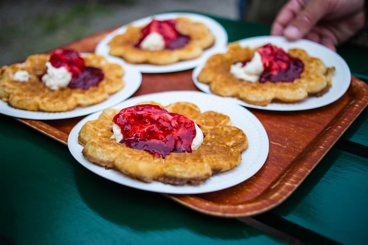 tipos de waffles que existen